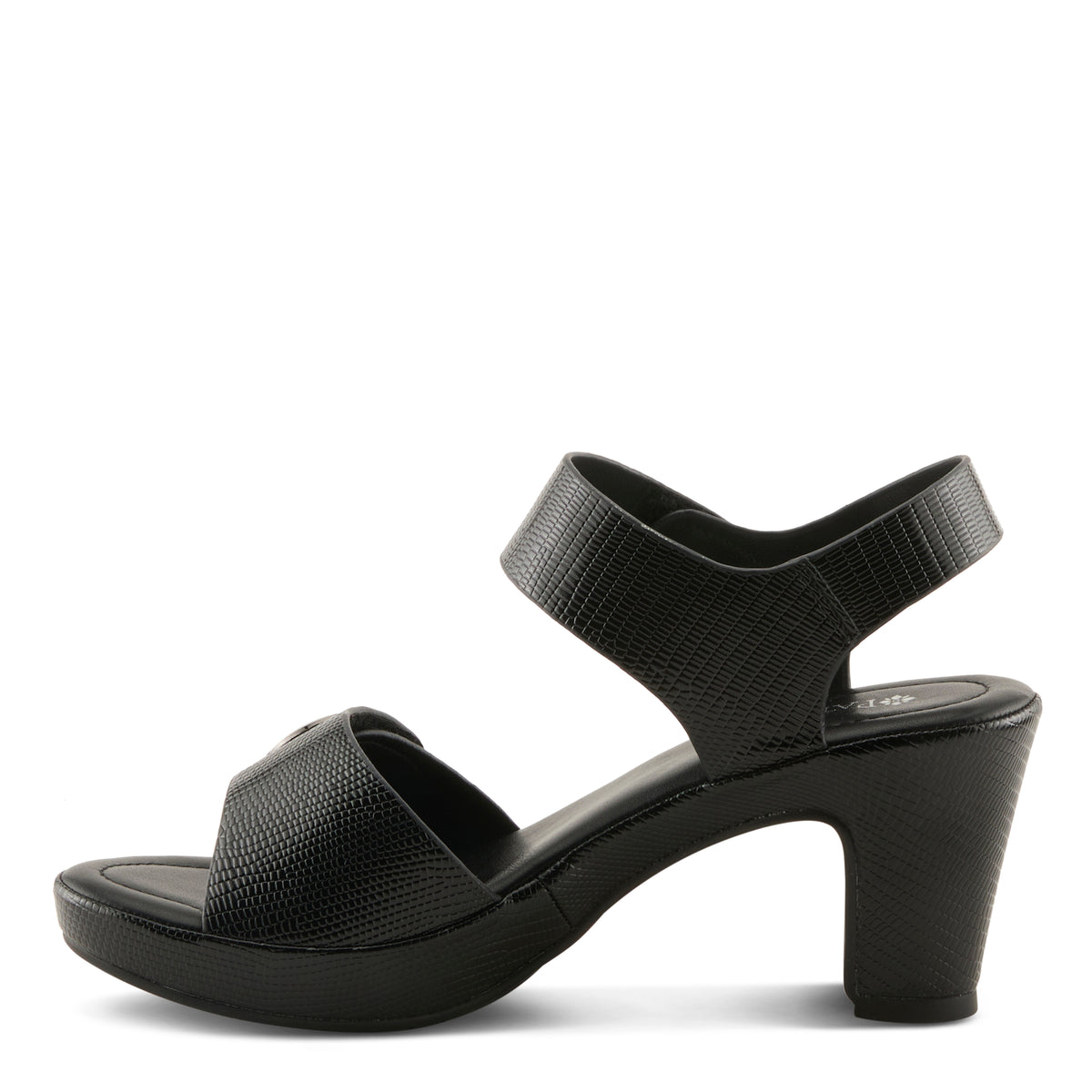 BLACK PYTHON